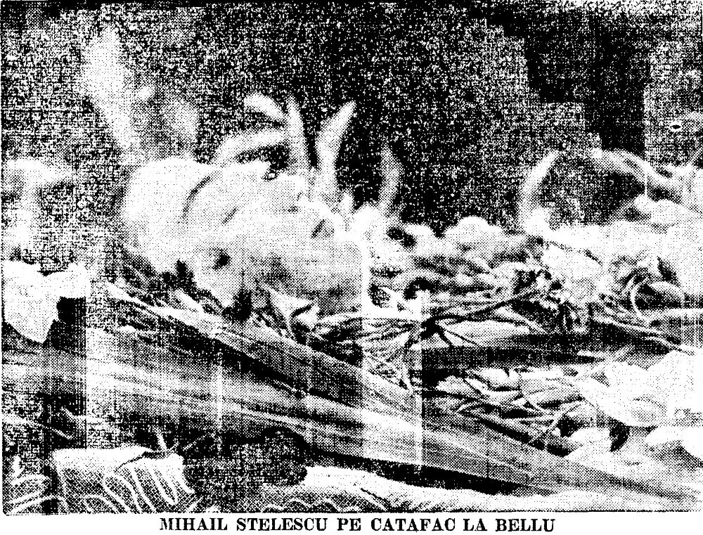 Mihail Stelescu pe catafalc la cimitirul Bellu